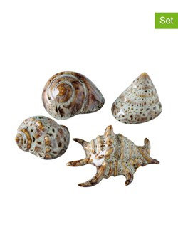 Boltze Muszle (4 szt.) w kolorze kremowo-brązowym - wys. 4 cm ze sklepu Limango Polska w kategorii Dekoracje - zdjęcie 185498656