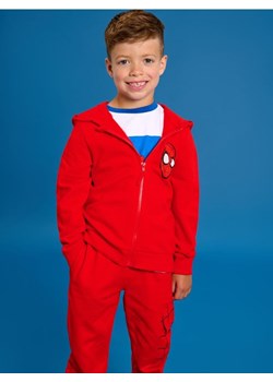 Sinsay - Bluza z nadrukiem na plecach Spider-Man - czerwony ze sklepu Sinsay w kategorii Bluzy chłopięce - zdjęcie 185518805