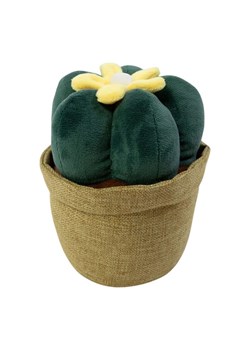 Mars &amp; More Stoper &quot;Cactus&quot; w kolorze zielono-beżowo-żółtym do drzwi - 21 x 23 cm ze sklepu Limango Polska w kategorii Dom - zdjęcie 185566218