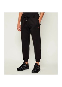 Replay Spodnie dresowe POLY | Regular Fit ze sklepu Gomez Fashion Store w kategorii Spodnie męskie - zdjęcie 185577336