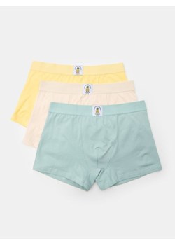 Sinsay - Bokserki Classic z ozdobną owocową naszywką 3 pack - wielobarwny ze sklepu Sinsay w kategorii Majtki męskie - zdjęcie 185598356