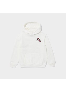 JORDAN BLUZA Z KAPTUREM JDN LANDED HD OFF WHITE B ze sklepu JD Sports  w kategorii Bluzy chłopięce - zdjęcie 185601649
