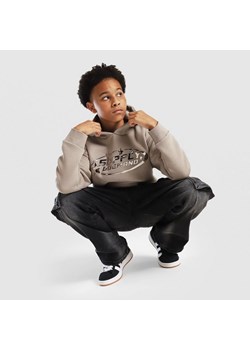 SUPPLY&DEMAND BLUZA Z KAPTUREM OVAL OH HD - id: SUPTJB17836866 - marki Supply & Demand - 185607357 SUPPLY&DEMAND BLUZA Z KAPTUREM OVAL OH HD ze sklepu JD Sports w kategorii Bluzy chłopięce - zdjęcie 185607357