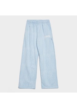 HOODRICH SPODNIE SNOW ANGEL LOW RISE WIDE LEG JOGG ze sklepu JD Sports  w kategorii Spodnie damskie - zdjęcie 185699307