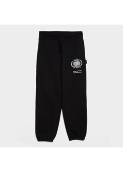 HOODRICH SPODNIE NOIR- OVERSIZED ELASTICATED CUFF ze sklepu JD Sports  w kategorii Spodnie męskie - zdjęcie 185715557