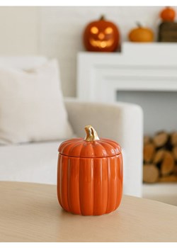 Sinsay - Pudełko do przechowywania w kształcie dyni - koralowy ze sklepu Sinsay w kategorii Zabawki - zdjęcie 185787199