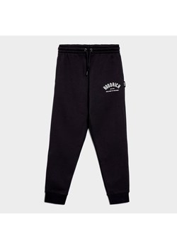 HOODRICH SPODNIE VOLCANO - RIBBED CUFF JOGGER ze sklepu JD Sports  w kategorii Spodnie chłopięce - zdjęcie 185887428