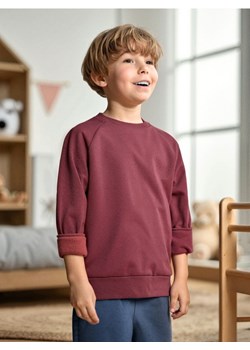 Sinsay - Bluza - bordowy - id: 290DN-83X - marki Sinsay - 185894748 Sinsay - Bluza - bordowy ze sklepu Sinsay w kategorii Bluzy chłopięce - zdjęcie 185894748