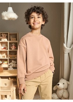 Sinsay - Bluza crewneck - brązowy - id: 291DN-84X - marki Sinsay - 185894749 Sinsay - Bluza crewneck - brązowy ze sklepu Sinsay w kategorii Bluzy chłopięce - zdjęcie 185894749