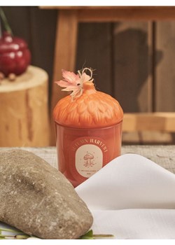 Sinsay - Świeczka Autumn Harvest - pomarańczowy ze sklepu Sinsay w kategorii Dom - zdjęcie 185895239