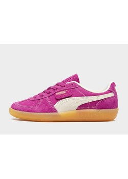 PUMA PALERMO VINTAGE ze sklepu JD Sports  w kategorii Buty sportowe damskie - zdjęcie 185974217
