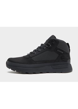 TIMBERLAND FIELD TREKKER MID LACE UP SNEAKER ze sklepu JD Sports  w kategorii Buty zimowe męskie - zdjęcie 185978149
