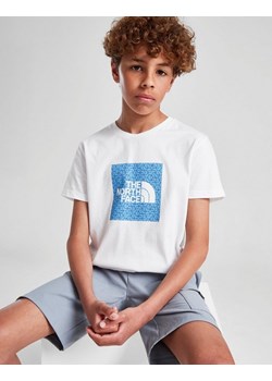 THE NORTH FACE T-SHIRT BOX GEO T WHITE/BLUE B ze sklepu JD Sports  w kategorii T-shirty chłopięce - zdjęcie 185979126