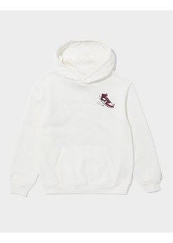 JORDAN BLUZA Z KAPTUREM JDN LANDED HD OFF WHITE B ze sklepu JD Sports  w kategorii Bluzy chłopięce - zdjęcie 185980976