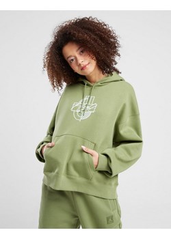 JORDAN BLUZA Z KAPTUREM W J BRKLN FLC PO GFX ze sklepu JD Sports  w kategorii Bluzy damskie - zdjęcie 185983638