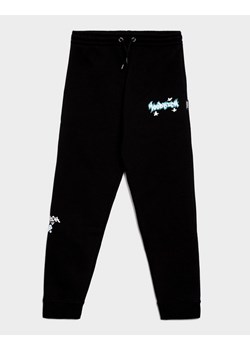 HOODRICH SPODNIE GRAFFITI - RIBBED CUFF JOGGER ze sklepu JD Sports  w kategorii Spodnie chłopięce - zdjęcie 185984325
