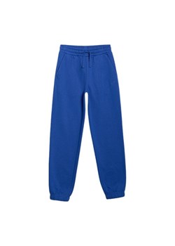 Spodnie dresowe chłopięce TTROM1245 4F ze sklepu SPORT-SHOP.pl w kategorii Spodnie chłopięce - zdjęcie 185993498