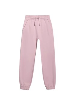 Spodnie dresowe dziewczęce TTROF1249 4F ze sklepu SPORT-SHOP.pl w kategorii Spodnie dziewczęce - zdjęcie 185994085
