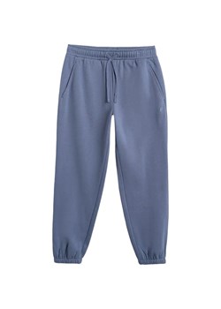 Spodnie dresowe męskie TTROM1140 4F ze sklepu SPORT-SHOP.pl w kategorii Spodnie męskie - zdjęcie 185994286