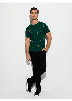 Sinsay - Koszulka - zielony ze sklepu Sinsay w kategorii T-shirty męskie - zdjęcie 186130325