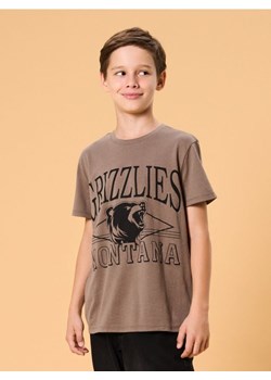 Sinsay - Bawełniana koszulka z napisem - brązowy ze sklepu Sinsay w kategorii T-shirty chłopięce - zdjęcie 186130357