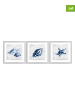 Ars Longa Druki artystyczne (3 szt.) &quot;Blue Shells&quot; w ramce - 70 x 70 cm ze sklepu Limango Polska w kategorii Obrazy - zdjęcie 186157379
