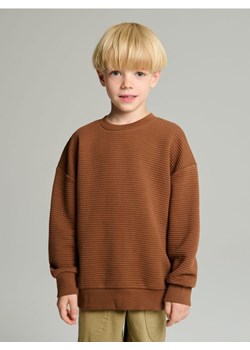 Sinsay - Bluza - brązowy ze sklepu Sinsay w kategorii Bluzy chłopięce - zdjęcie 186173218