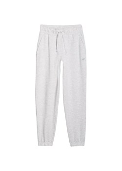 Spodnie dresowe damskie TTROF1138 4F ze sklepu SPORT-SHOP.pl w kategorii Spodnie damskie - zdjęcie 186179227