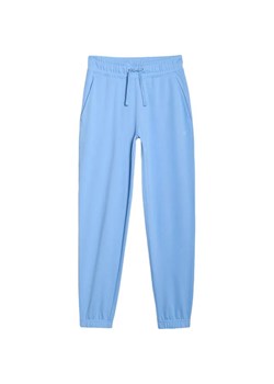 Spodnie dresowe damskie TTROF1138 4F ze sklepu SPORT-SHOP.pl w kategorii Spodnie damskie - zdjęcie 186179356