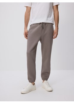 Reserved - Spodnie dresowe regular fit - szary ze sklepu Reserved w kategorii Spodnie męskie - zdjęcie 186188207