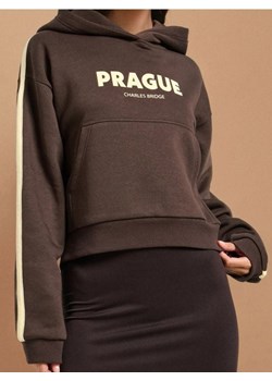 Sinsay - Bluza hoodie z nadrukiem - brązowy ze sklepu Sinsay w kategorii Bluzy damskie - zdjęcie 186231346