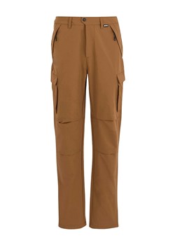 Regatta Spodnie funkcyjne "Questra" w kolorze jasnobrązowym ze sklepu Limango Polska w kategorii Spodnie męskie - zdjęcie 186239827