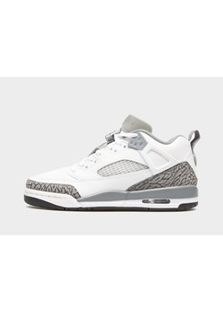 JORDAN SPIZIKE LOW ze sklepu JD Sports  w kategorii Buty sportowe damskie - zdjęcie 186265899
