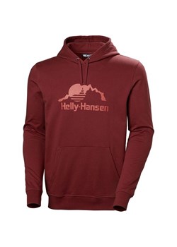 Bluza męska Nord Graphic Pull Over Hoodie Helly Hansen ze sklepu SPORT-SHOP.pl w kategorii Bluzy męskie - zdjęcie 186313275