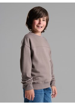 Sinsay - Bluza crewneck basic - brązowy - id: 267DN-88X - marki Sinsay - 186386329 Sinsay - Bluza crewneck basic - brązowy ze sklepu Sinsay w kategorii Bluzy chłopięce - zdjęcie 186386329
