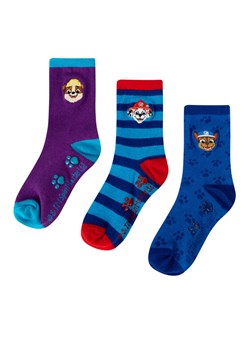 Skarpety długie Paw Patrol ACCCS-SS24-511PAW Niebieski ze sklepu eobuwie.pl w kategorii Skarpetki dziecięce - zdjęcie 186511169