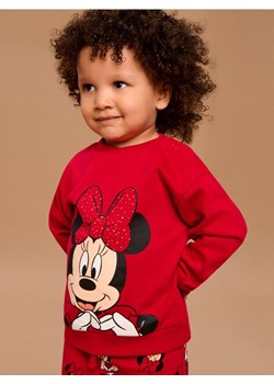 Sinsay - Bluza Minnie Mouse - czerwony - id: 171FT-33X - marki Sinsay - 186551266 Sinsay - Bluza Minnie Mouse - czerwony ze sklepu Sinsay w kategorii Bluzy i swetry - zdjęcie 186551266