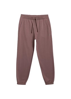 Spodnie dresowe męskie TTROM1273 4F ze sklepu SPORT-SHOP.pl w kategorii Spodnie męskie - zdjęcie 186553105