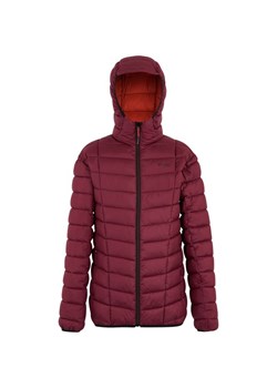 Kurtka puchowa męska Asper Regatta ze sklepu SPORT-SHOP.pl w kategorii Kurtki męskie - zdjęcie 186575657