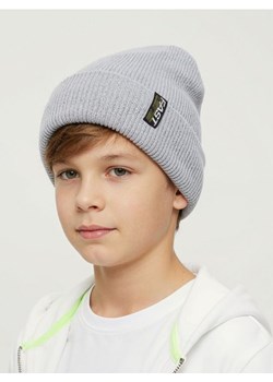 Sinsay - Czapka w prążek - szary ze sklepu Sinsay w kategorii Czapki dziecięce - zdjęcie 186578477