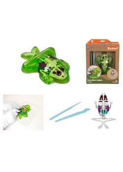 Simba Zestaw "Dissect-It - Frog" do eksperymentowania - 6+ (produkt niespodzianka) - id: 17764025 - marki Simba - 186581006 Simba Zestaw "Dissect-It - Frog" do eksperymentowania - 6+ (produkt niespodzianka) ze sklepu Limango Polska w kategorii Zabawki - zdjęcie 186581006