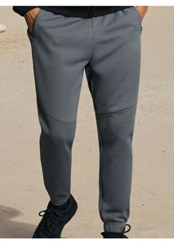 Sinsay - Spodnie jogger - szary ze sklepu Sinsay w kategorii Spodnie męskie - zdjęcie 186743966