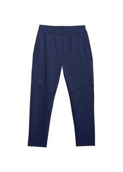 Spodnie dresowe męskie TTROM1194 4F ze sklepu SPORT-SHOP.pl w kategorii Spodnie męskie - zdjęcie 186784019