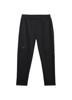 Spodnie dresowe męskie TTROM1194 4F ze sklepu SPORT-SHOP.pl w kategorii Spodnie męskie - zdjęcie 186784056