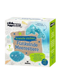 moses. Zestaw do eksperymentowania - 5+ (produkt niespodzianka) ze sklepu Limango Polska w kategorii Zabawki - zdjęcie 187043285