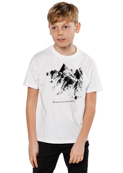 T-shirt dziecięcy UNDERWORLD Mountains ze sklepu morillo w kategorii T-shirty chłopięce - zdjęcie 187045715