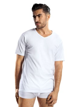 Koszulka t-shirt Reviver F5572 T2 biały ze sklepu kontri.pl w kategorii T-shirty męskie - zdjęcie 187047896