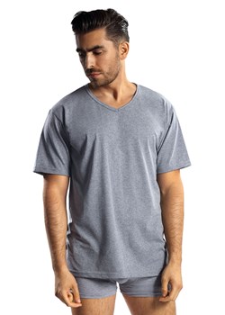 Koszulka t-shirt Reviver F5571 T2 szary ze sklepu kontri.pl w kategorii T-shirty męskie - zdjęcie 187047916