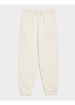 JORDAN SPODNIE WJ BRKN FLC PANT - id: 45F138-XAE - marki Jordan - 187188355 JORDAN SPODNIE WJ BRKN FLC PANT ze sklepu JD Sports  w kategorii Spodnie chłopięce - zdjęcie 187188355