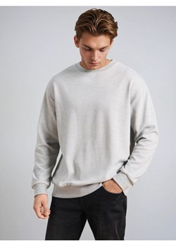 Sinsay - Bluza - szary ze sklepu Sinsay w kategorii Bluzy męskie - zdjęcie 187200438